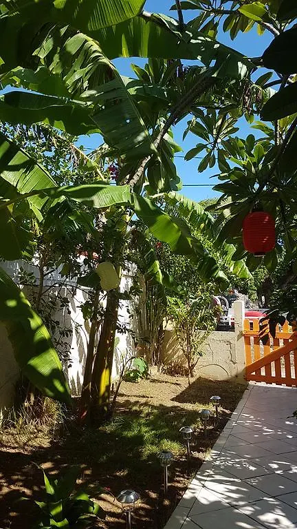 Location Marigot Villa Terre-De-Haut