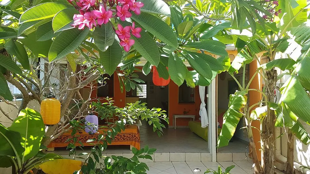 Tatil Evi Location Marigot Villa Terre-De-Haut Guadeloupe